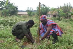 Greening Ghana launch @Afosu in Birim North District led by Hon Remond Nana Damptey (DCE) and Hon John Osei Frimpong (MP) for Abirem constituency